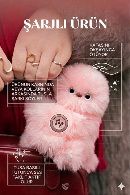 POFUDUK MİRUMİ